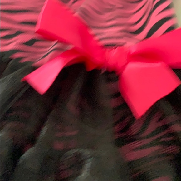 Starting Out - Picture 5 of 5